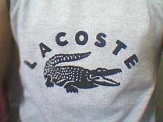 lacoste+dmx_dmx_dmx