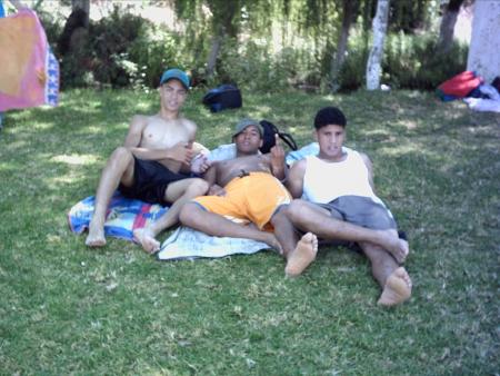 crizi dog+dmx